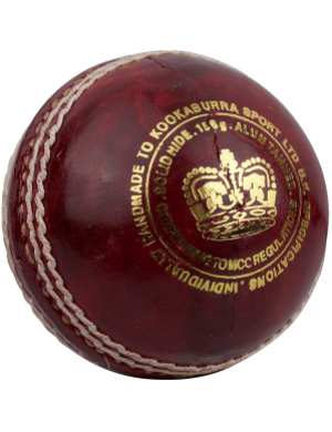 Kookaburra Cricket Paceball - Youths